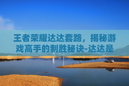 王者荣耀达达套路，揭秘游戏高手的制胜秘诀-达达是先给王者派单吗