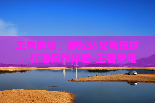 王者荣耀，游戏适配新策略，打造极致体验-王者荣耀出现适配器怎么办