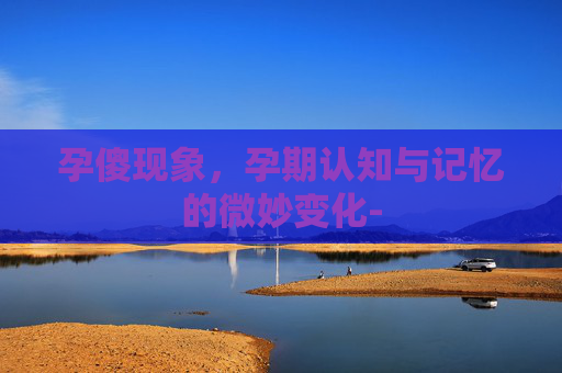 孕傻现象，孕期认知与记忆的微妙变化-