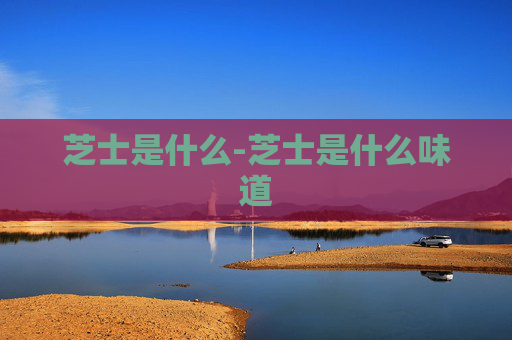 芝士是什么-芝士是什么味道 芝士是什么-芝士是什么味道