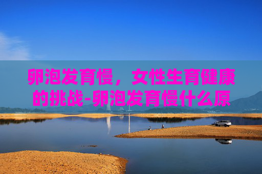 卵泡发育慢，女性生育健康的挑战-卵泡发育慢什么原因