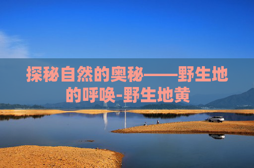 探秘自然的奥秘——野生地的呼唤-野生地黄