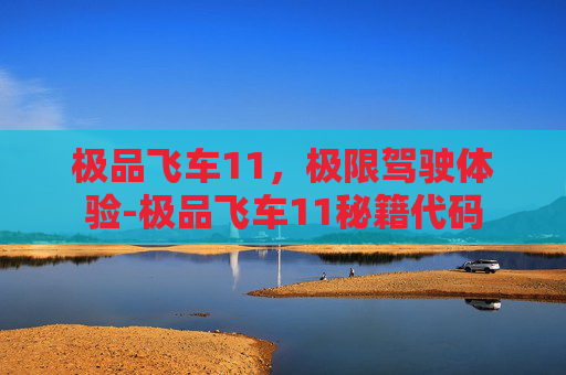 极品飞车11，极限驾驶体验-极品飞车11秘籍代码