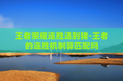 王者荣耀连胜遇到猪-王者的连胜机制算匹配吗