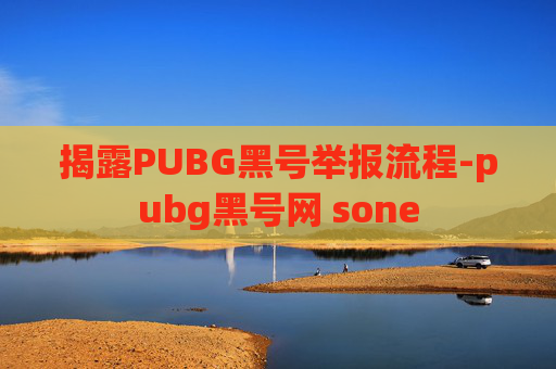 揭露PUBG黑号举报流程-pubg黑号网 sone