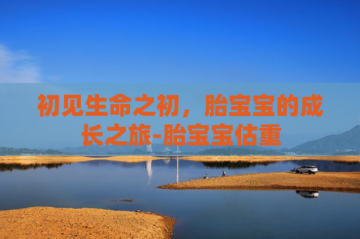 初见生命之初，胎宝宝的成长之旅-胎宝宝估重