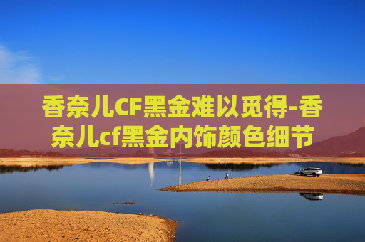 香奈儿CF黑金难以觅得-香奈儿cf黑金内饰颜色细节