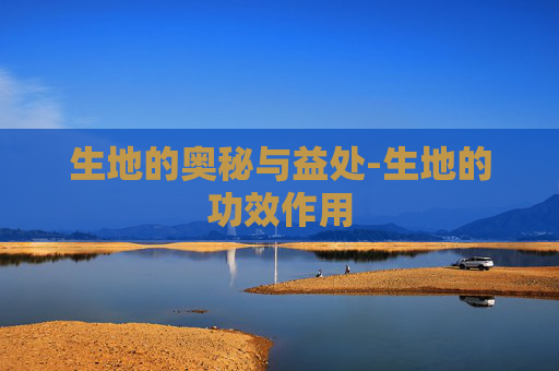 生地的奥秘与益处-生地的功效作用