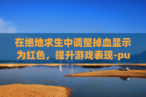 在绝地求生中调整掉血显示为红色，提升游戏表现-pubg掉血颜色为红色
