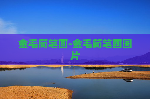 金毛简笔画-金毛简笔画图片