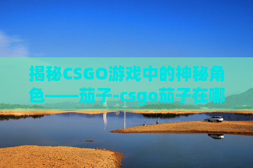 揭秘CSGO游戏中的神秘角色——茄子-csgo茄子在哪个城市