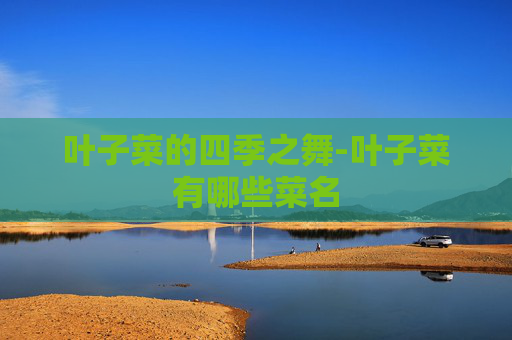 叶子菜的四季之舞-叶子菜有哪些菜名 叶子菜的四季之舞-叶子菜有哪些菜名