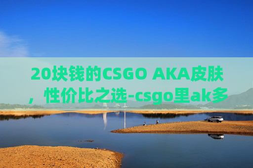 20块钱的CSGO AKA皮肤，性价比之选-csgo里ak多少钱一支