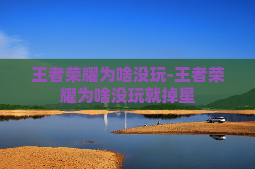 王者荣耀为啥没玩-王者荣耀为啥没玩就掉星