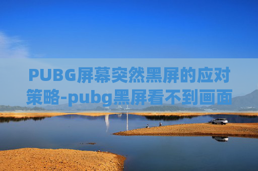 PUBG屏幕突然黑屏的应对策略-pubg黑屏看不到画面