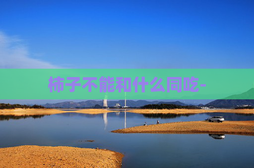 柿子不能和什么同吃-