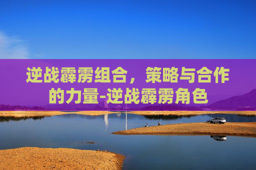 逆战霹雳组合，策略与合作的力量-逆战霹雳角色
