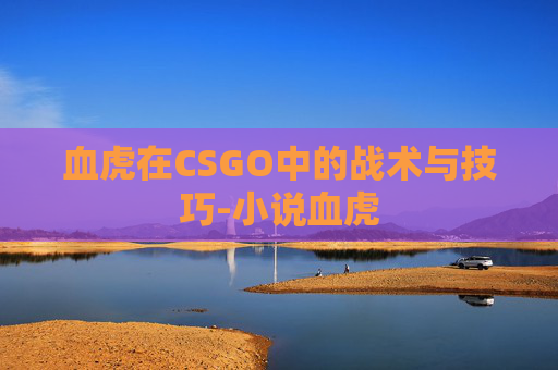 血虎在CSGO中的战术与技巧-小说血虎