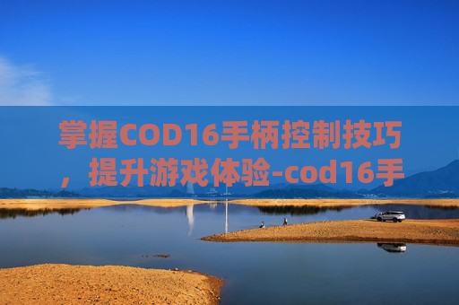掌握COD16手柄控制技巧，提升游戏体验-cod16手柄设置