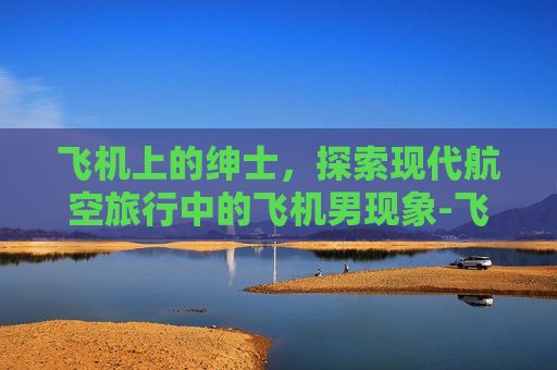 飞机上的绅士，探索现代航空旅行中的飞机男现象-飞机男生发型