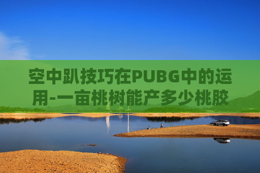 空中趴技巧在PUBG中的运用-一亩桃树能产多少桃胶