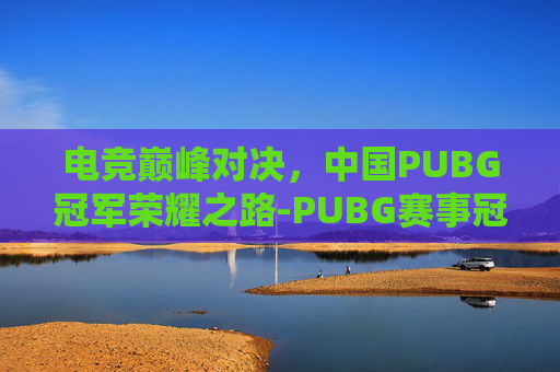 电竞巅峰对决，中国PUBG冠军荣耀之路-PUBG赛事冠军