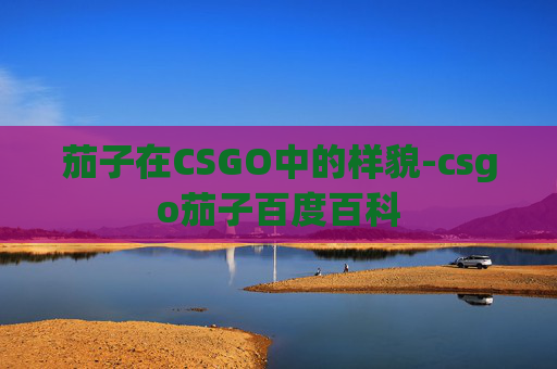 茄子在CSGO中的样貌-csgo茄子百度百科