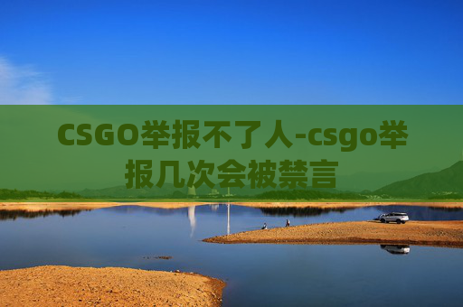 CSGO举报不了人-csgo举报几次会被禁言