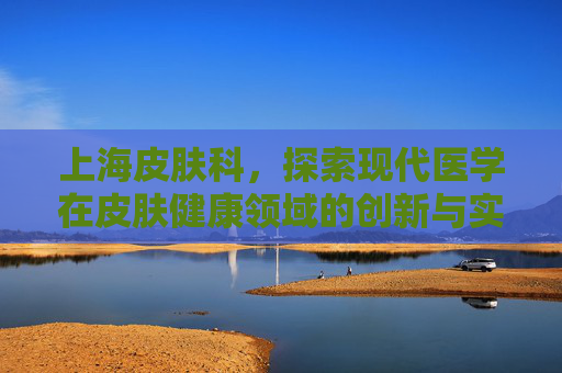 上海皮肤科，探索现代医学在皮肤健康领域的创新与实践-上海皮肤科医院地址