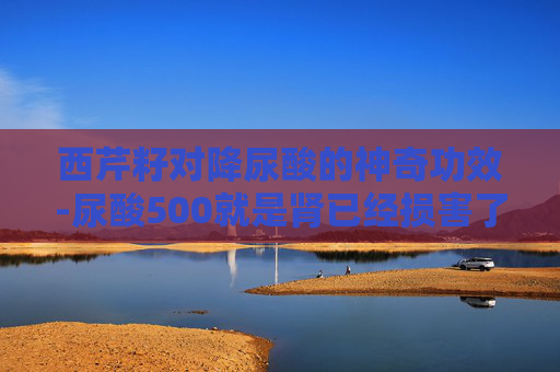 西芹籽对降尿酸的神奇功效-尿酸500就是肾已经损害了吗