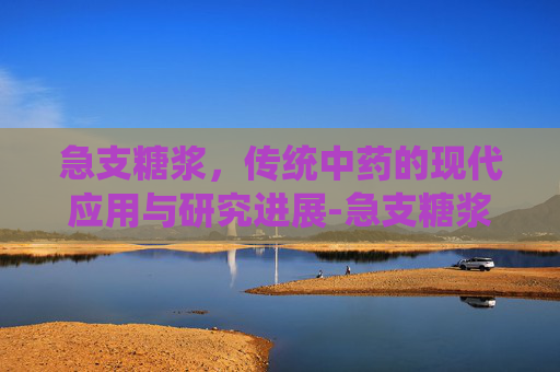 急支糖浆，传统中药的现代应用与研究进展-急支糖浆的功能主治