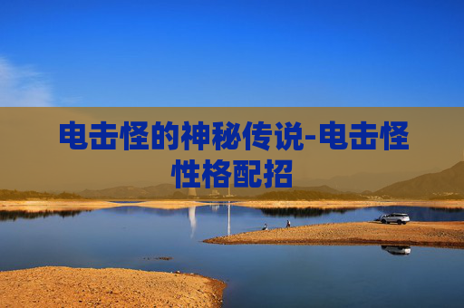 电击怪的神秘传说-电击怪性格配招