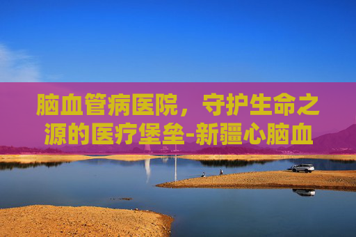 脑血管病医院，守护生命之源的医疗堡垒-新疆心脑血管病医院