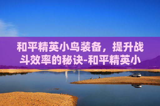 和平精英小鸟装备，提升战斗效率的秘诀-和平精英小鸟装备搭配图
