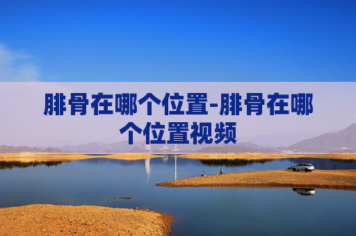 腓骨在哪个位置-腓骨在哪个位置视频