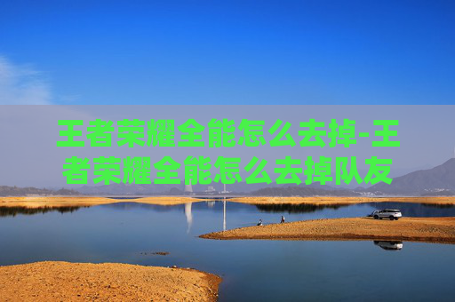 王者荣耀全能怎么去掉-王者荣耀全能怎么去掉队友