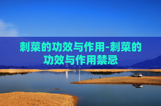 刺菜的功效与作用-刺菜的功效与作用禁忌