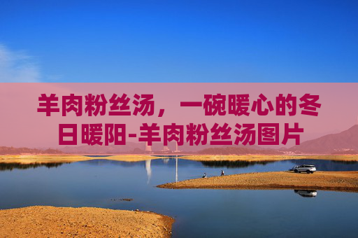 羊肉粉丝汤，一碗暖心的冬日暖阳-羊肉粉丝汤图片