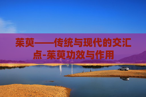 茱萸——传统与现代的交汇点-茱萸功效与作用