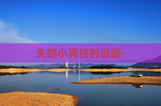 失踪小男孩的谜团-