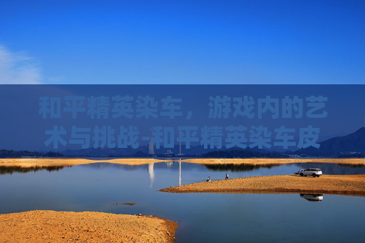 和平精英染车，游戏内的艺术与挑战-和平精英染车皮的按钮在哪