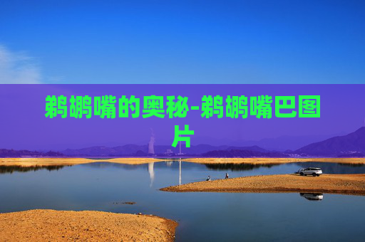 鹈鹕嘴的奥秘-鹈鹕嘴巴图片