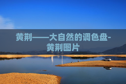 黄荆——大自然的调色盘-黄荆图片