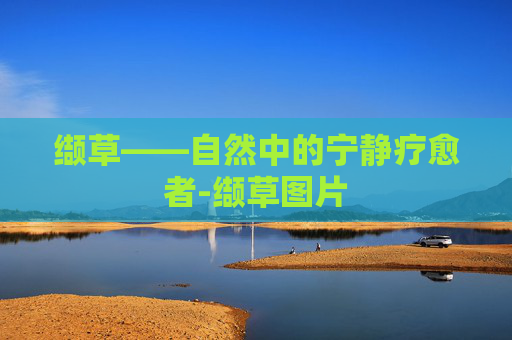 缬草——自然中的宁静疗愈者-缬草图片