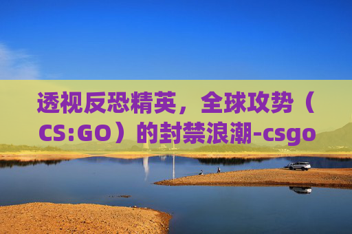 透视反恐精英，全球攻势（CS:GO）的封禁浪潮-csgo封号前兆