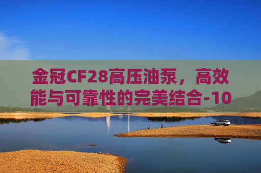 金冠CF28高压油泵，高效能与可靠性的完美结合-1015572559高压油泵
