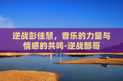 逆战彭佳慧，音乐的力量与情感的共鸣-逆战部哥