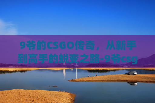 9爷的CSGO传奇，从新手到高手的蜕变之路-9爷csgo