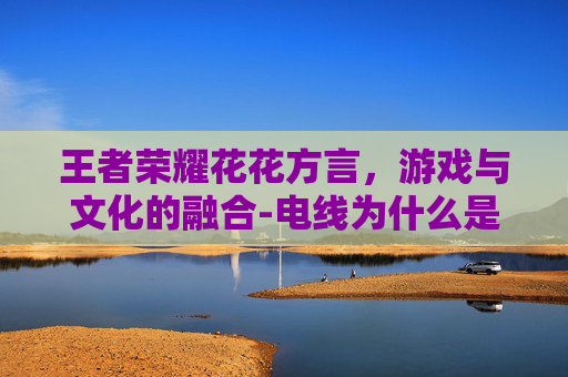 王者荣耀花花方言，游戏与文化的融合-电线为什么是两根
