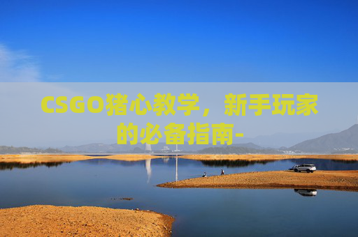 CSGO猪心教学，新手玩家的必备指南-